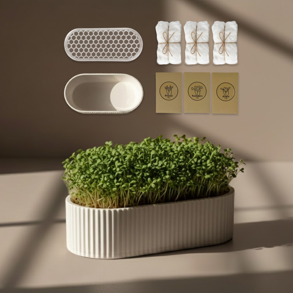 Grow Oval Startpakket