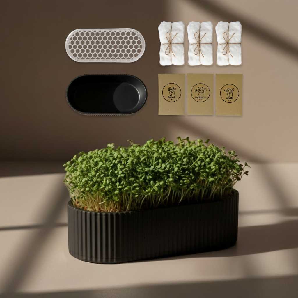 Grow Oval Startpakket